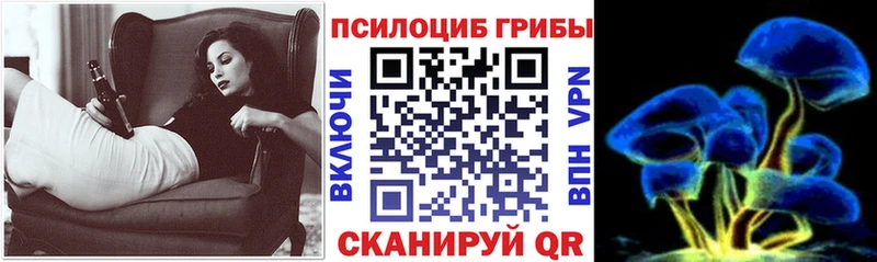Псилоцибиновые грибы мицелий  где найти   Ак-Довурак 